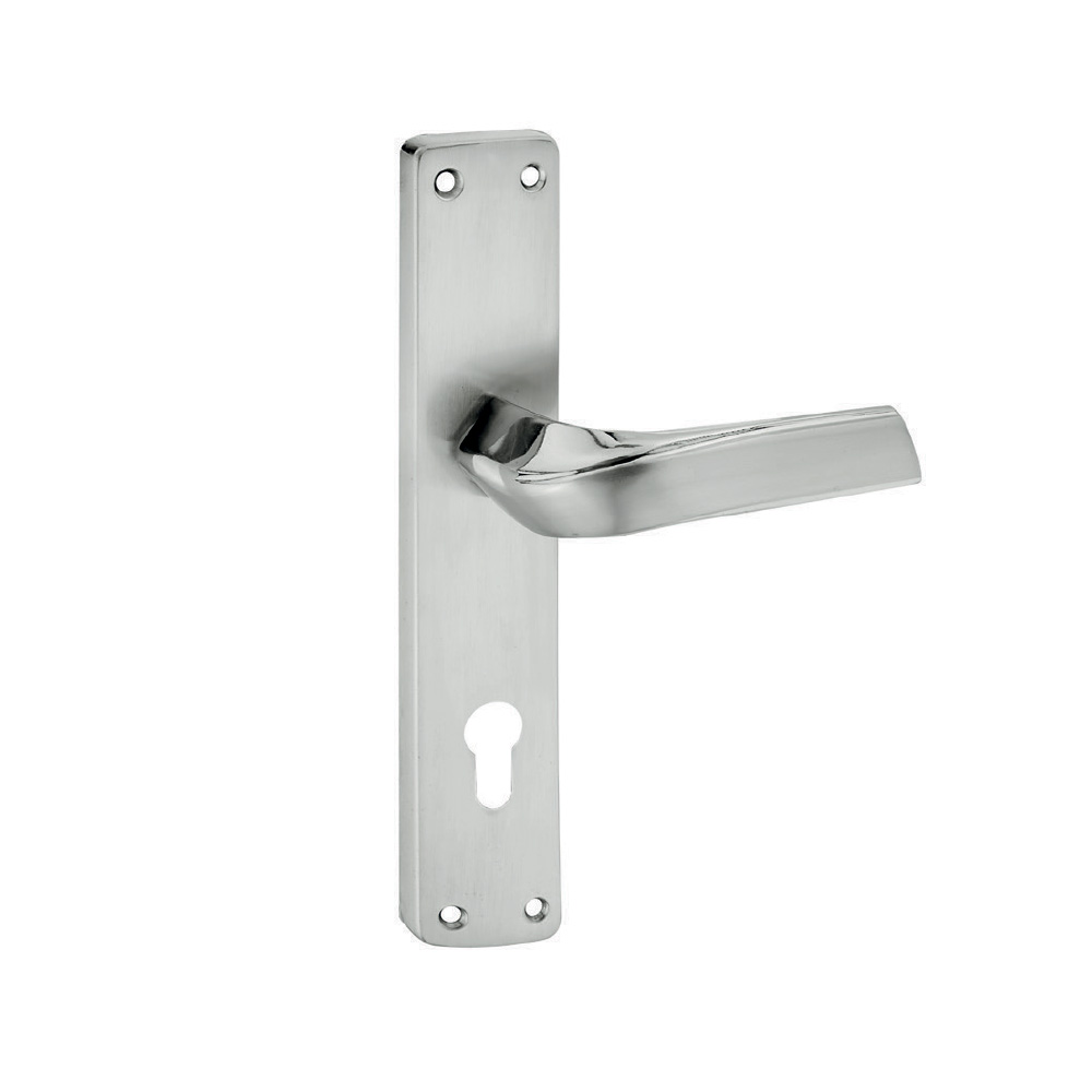 Asaf Door Handle